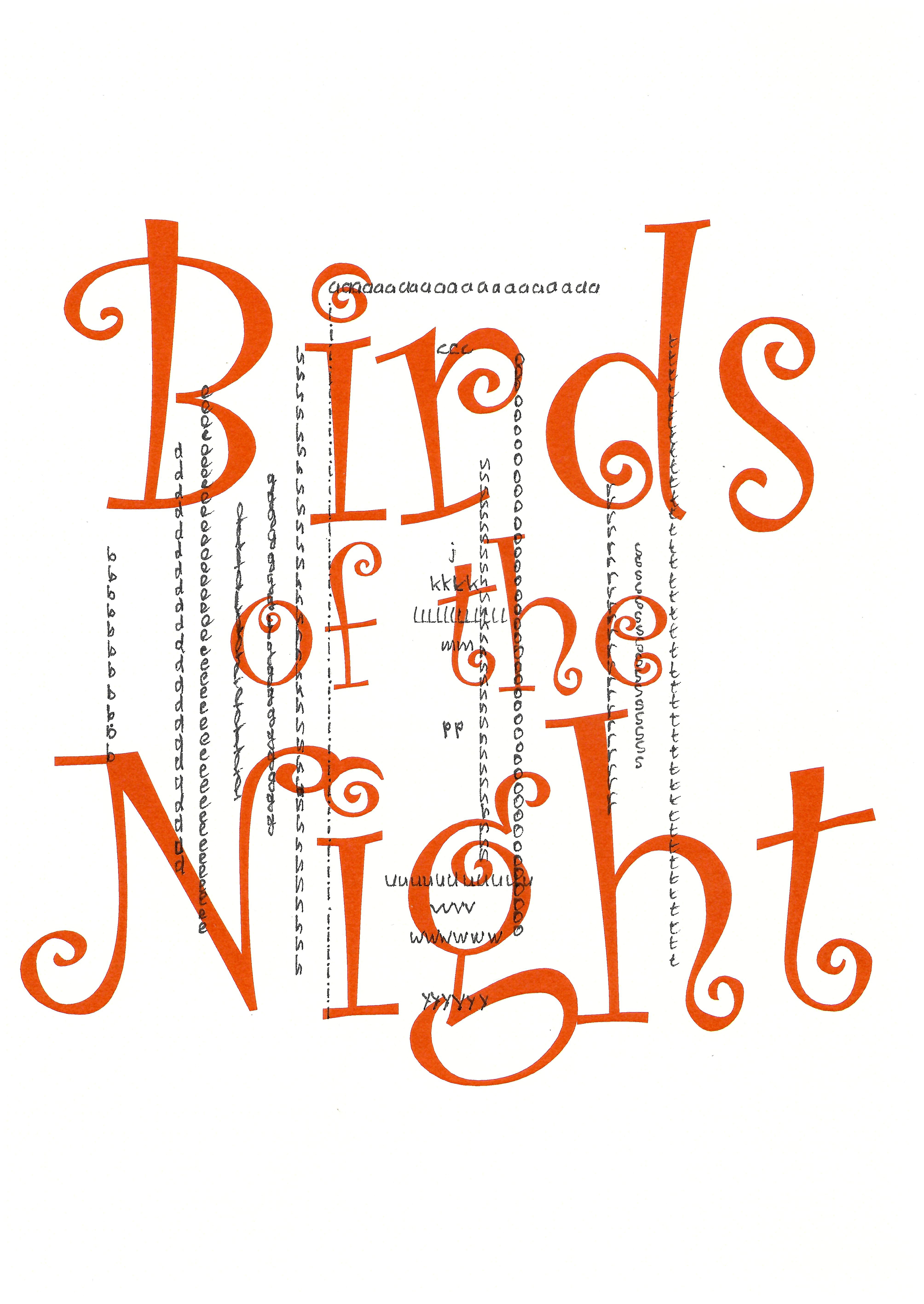 Stella Sommer: Birds of the Night